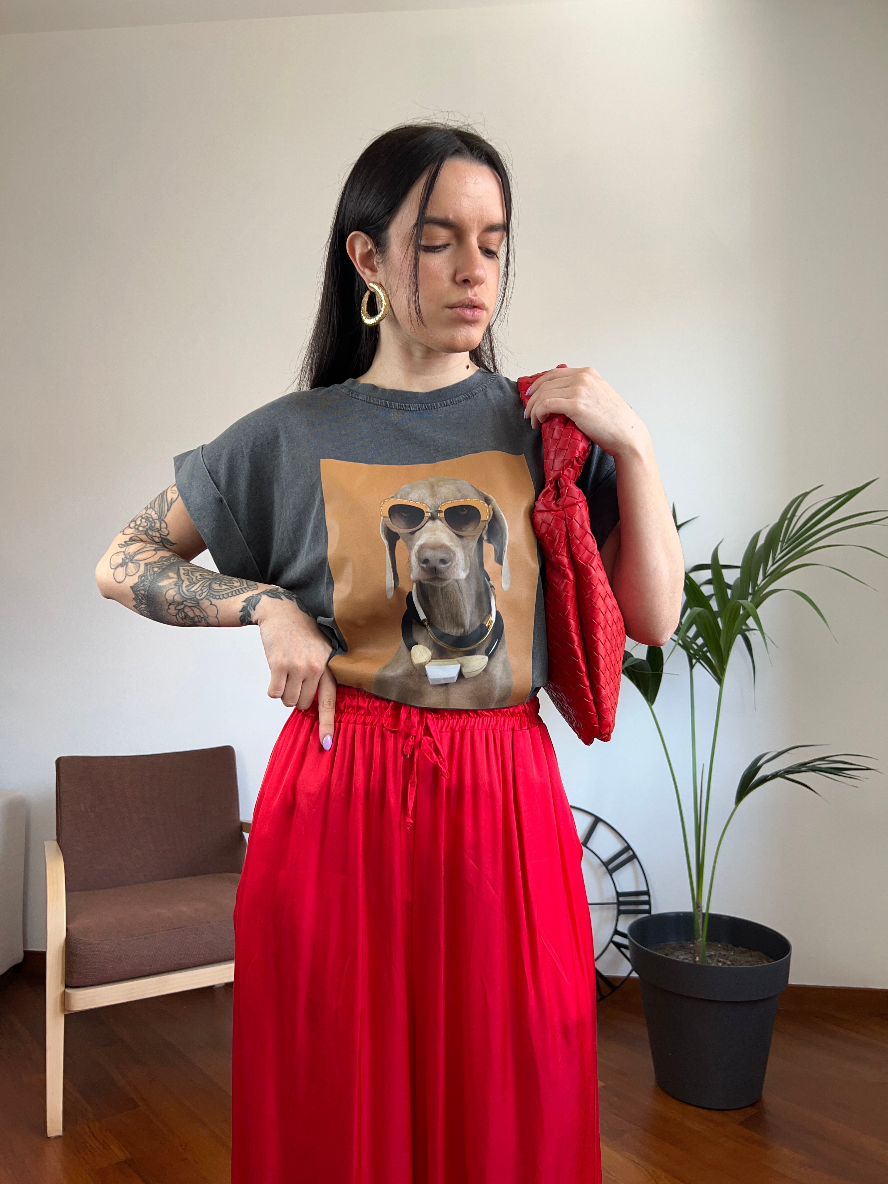 T-shirt dog