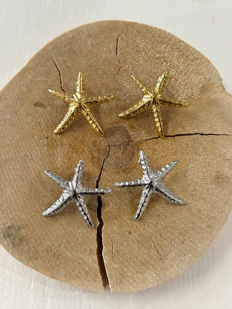 Orecchini stella marina
